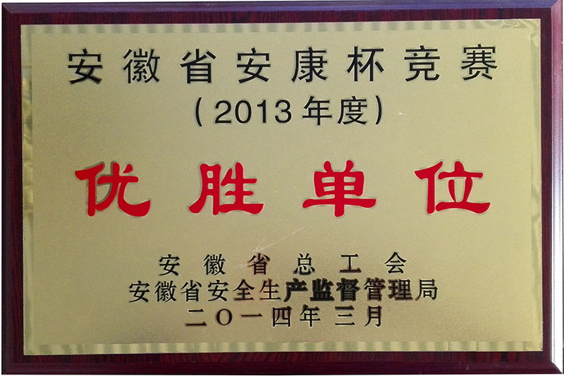 安徽省健康競杯賽優勝單位