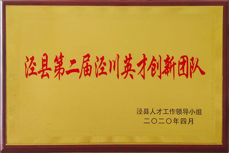 涇縣第二屆涇川英才創新團隊2020